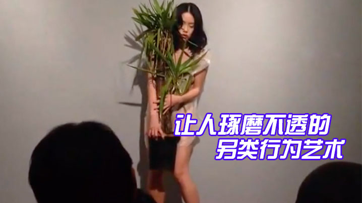 精品让人琢磨不透的另类行为艺术美女抱着一盆花穿着透明衣服全场人鸦雀无声静静看着她表演海报剧照