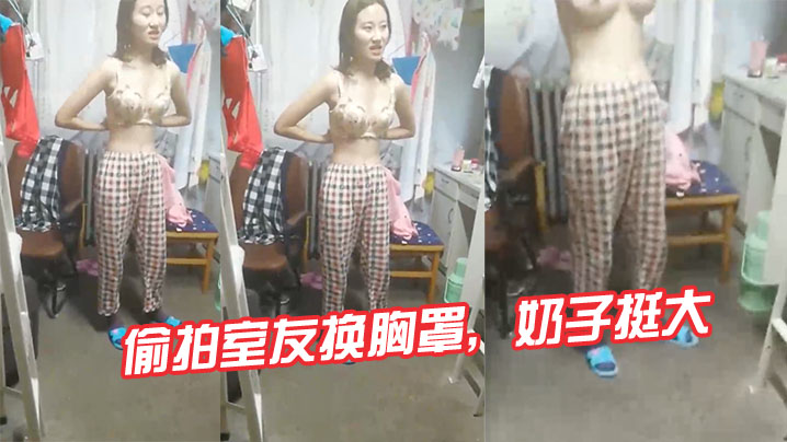 偷拍室友换胸罩奶子挺大海报剧照