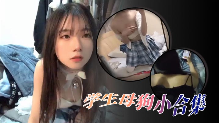精选合集高颜值学生母狗小合集海报剧照