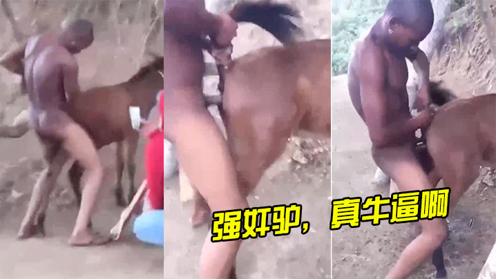 强奸驴真牛逼啊海报剧照
