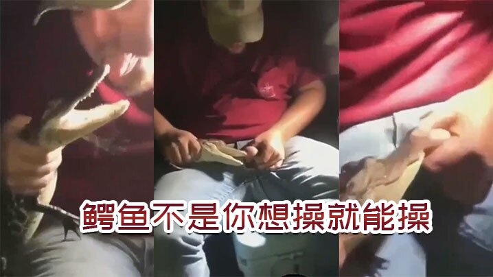 鳄.鱼不.是你想.操想.操就能.操海报剧照