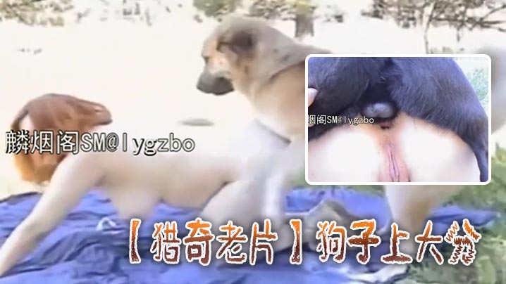 猎奇老片狗子上大分海报剧照