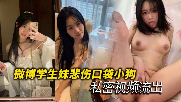 微博学生妹悲伤口袋小狗私密视频流出海报剧照