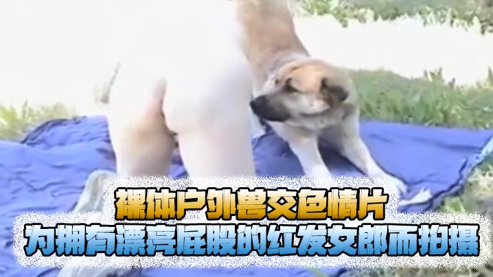 猎奇裸体户外兽交色情片为拥有漂亮屁股的红发女郎而拍摄海报剧照