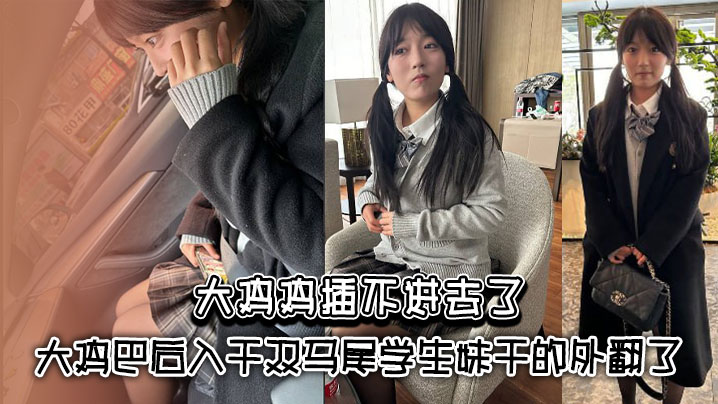 大鸡鸡插不进去了_大鸡巴后入干双马尾学生妹干的外翻了海报剧照