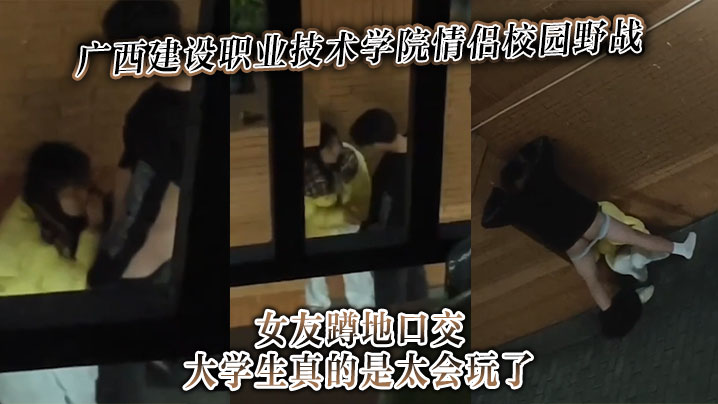 广西建设职业技术学院情侣校园野战女友蹲地口交大学生真的是太会玩了海报剧照