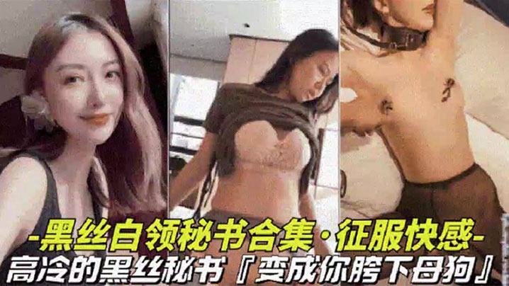 黑丝白领秘书大合集高冷黑丝秘书变成胯下母狗视觉上的享受海报剧照