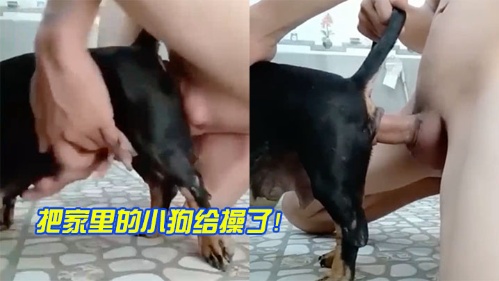 把家里的小狗给操了海报剧照