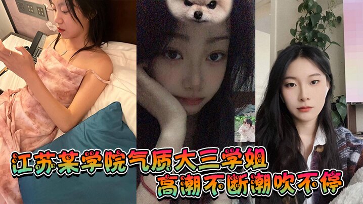 江苏某学院气质大三学姐！高潮不断潮吹不停，这才是高质量的性爱，这才是性爱的真谛啊！海报剧照