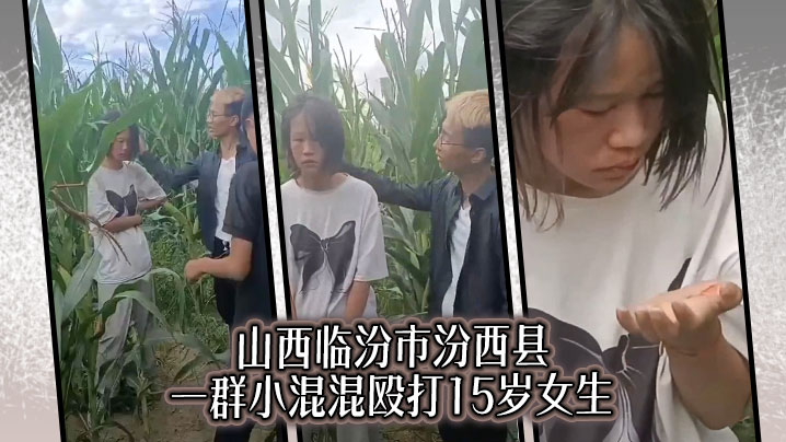 山西临汾市汾西县 一群小混混殴打15岁女生海报剧照