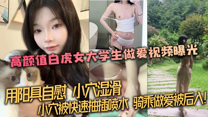 【泄密流出】高颜值白虎女大学生做爱视频曝光，用阳具自慰，小穴湿滑。小穴被快速抽插喷水，骑乘做爱被后入！海报剧照