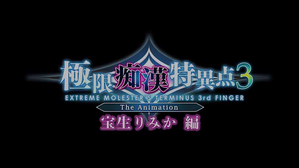 里番极限痴汉特异点3海报剧照