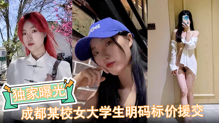 【独家曝光】成都某校女大学生明码标价援交陪玩伴游卖逼视频被金主爆出完整版海报剧照