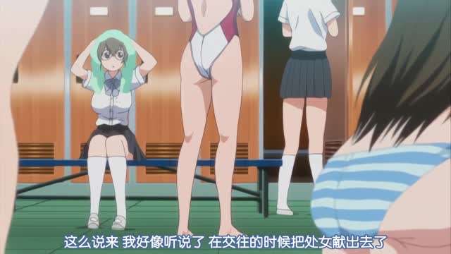 宠物的生活海报剧照