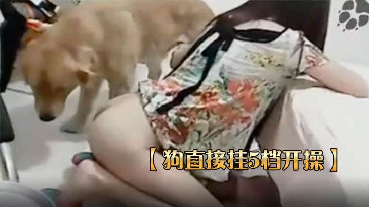 狗直接挂5档开操女主保持一个姿势让狗后入海报剧照