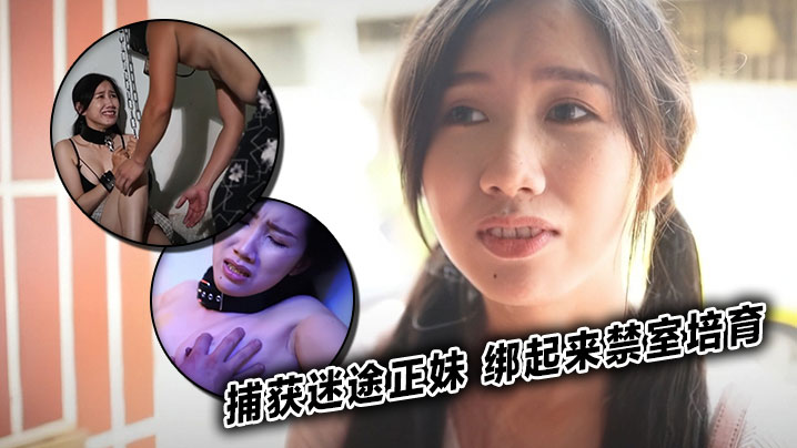 捕获迷途正妹 绑起来禁室培育海报剧照