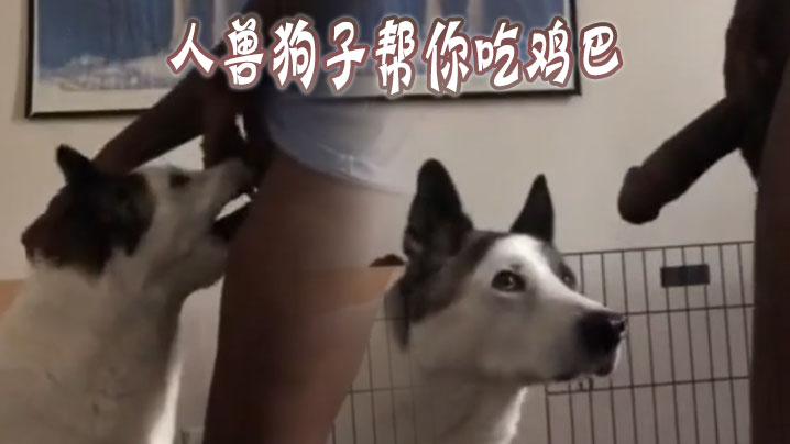 人兽狗子帮你吃鸡巴海报剧照