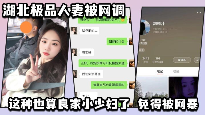 湖北极品人妻被网调 自动匿名 小红书号我给匿了吧 这种也算良家小少妇了 免得被网暴海报剧照