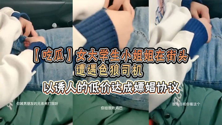 【吃瓜】女大学生小姐姐在街头遭遇色狼司机，以诱人的低价达成嫖娼协议海报剧照