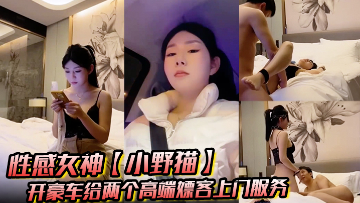 性感女神【小野猫】开豪车给两个高端嫖客上门服务猥琐大叔喜欢玩SM帅哥还算正常吹箫热身啪啪海报剧照