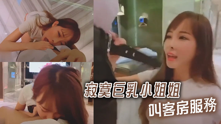 寂寞巨乳小姐姐叫客房服務海报剧照