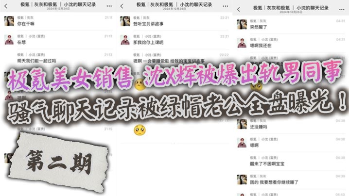 极氪美女销售 沈X辉被爆出轨男同事，骚气聊天记录被绿帽老公全盘曝光！海报剧照
