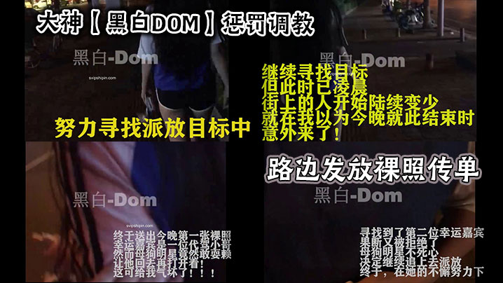 大神【黑白DOM】惩罚调教_路边发放裸照传单海报剧照