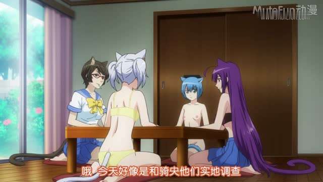 玩伴猫耳娘 OVA海报剧照