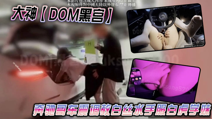 大神【DOM黑宫】奔驰哥车震调教白丝水手服白虎学妹，地下车库露出啪啪性爱海报剧照