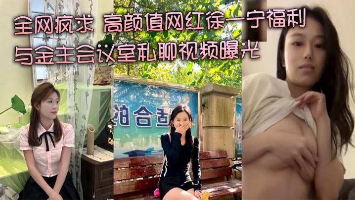 全网疯求 高颜值网红徐一宁福利 与金主会议室私聊视频曝光海报剧照