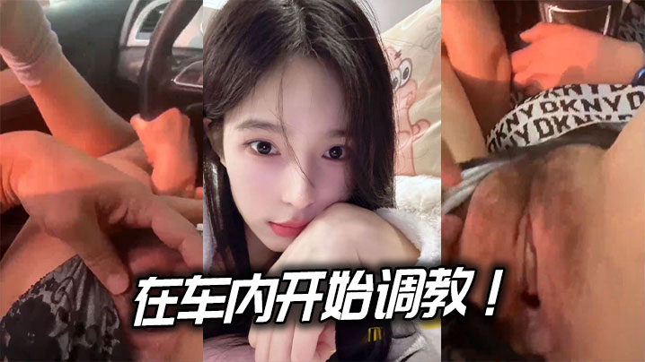 在车内开始调教！.边驾边玩逼海报剧照