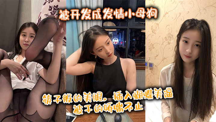 极品身材尤物御姐被开发成发情小母狗 筷子般的美腿，插入蝴蝶美逼 被干的娇喘不止海报剧照