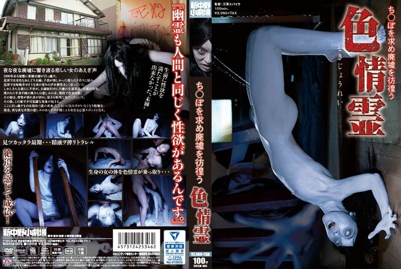 WAKM-005貪婪的靈魂在廢墟中徘徊尋找chi-po海报剧照